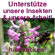 Unterstütze unsere Arbeit!